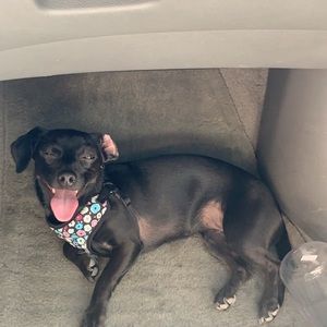 Meet your Posher, Bryce